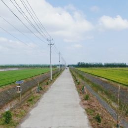 响水县农用地政治（高标准农田）建设项目